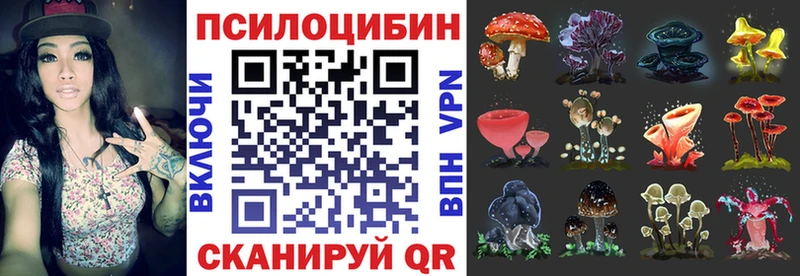Галлюциногенные грибы Psilocybe  Талица 